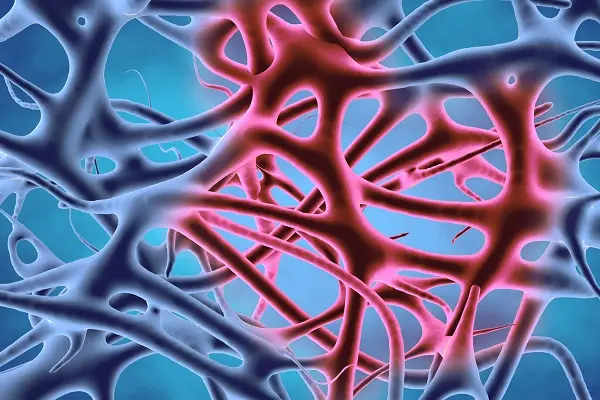 Is KPV an Anti-Inflammatory Peptide? 1 Anti-Inflammatory Peptide