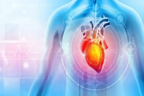 What Are the Key B7-33 Peptide Benefits for Cardioprotection? 1 B7-33 Peptide Benefits for Cardioprotection