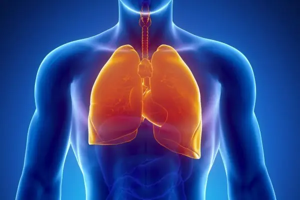 Bronchogen in airway regulation and COPD-related lung changes from Peptide Works