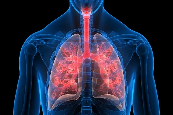 Can B7-33 Reduce Fibrosis?