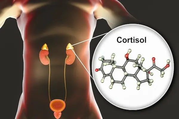 Can GHRP-2 Raise Cortisol Levels? 1 Can GHRP-2 Raise Cortisol Levels