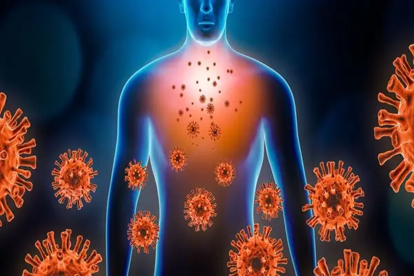 SS-31 Peptide for Disease Protection