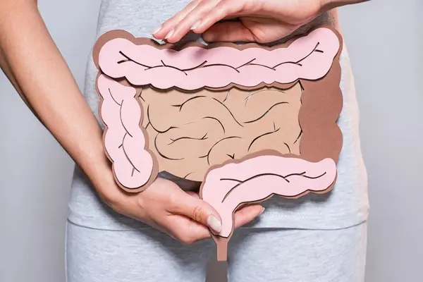 What Are the Best Gut Health Peptides? 1 Best Gut Health Peptides