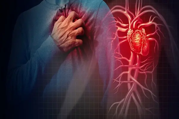 How Does AMPK Improve Heart Health