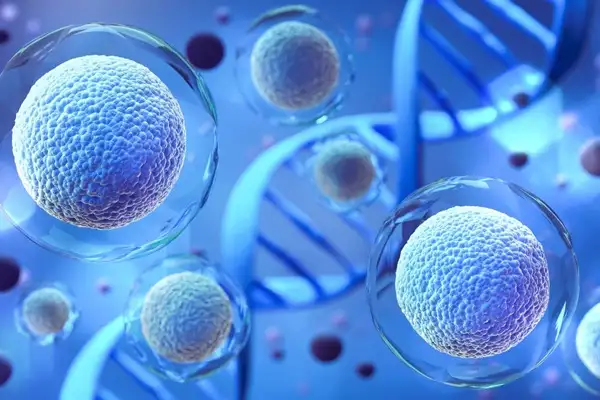Can GHK-Cu Peptide Activate Stem Cells? 1 Can GHK-Cu Peptide Activate Stem Cells
