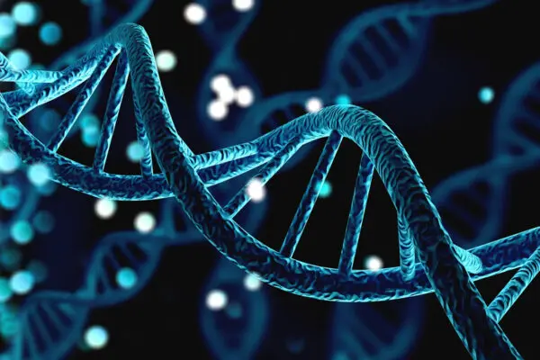 Vilon’s Influence on DNA Repair and Cellular Resilience