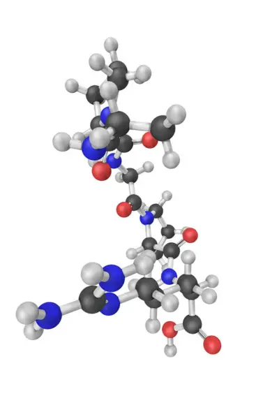 Peptide Information 1 What Are Peptides