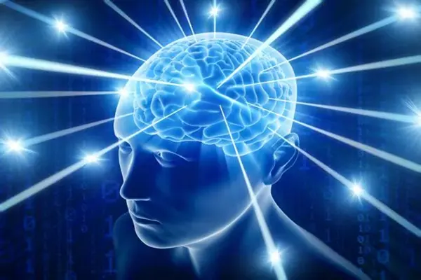 Vitamin B12 for Brain Function